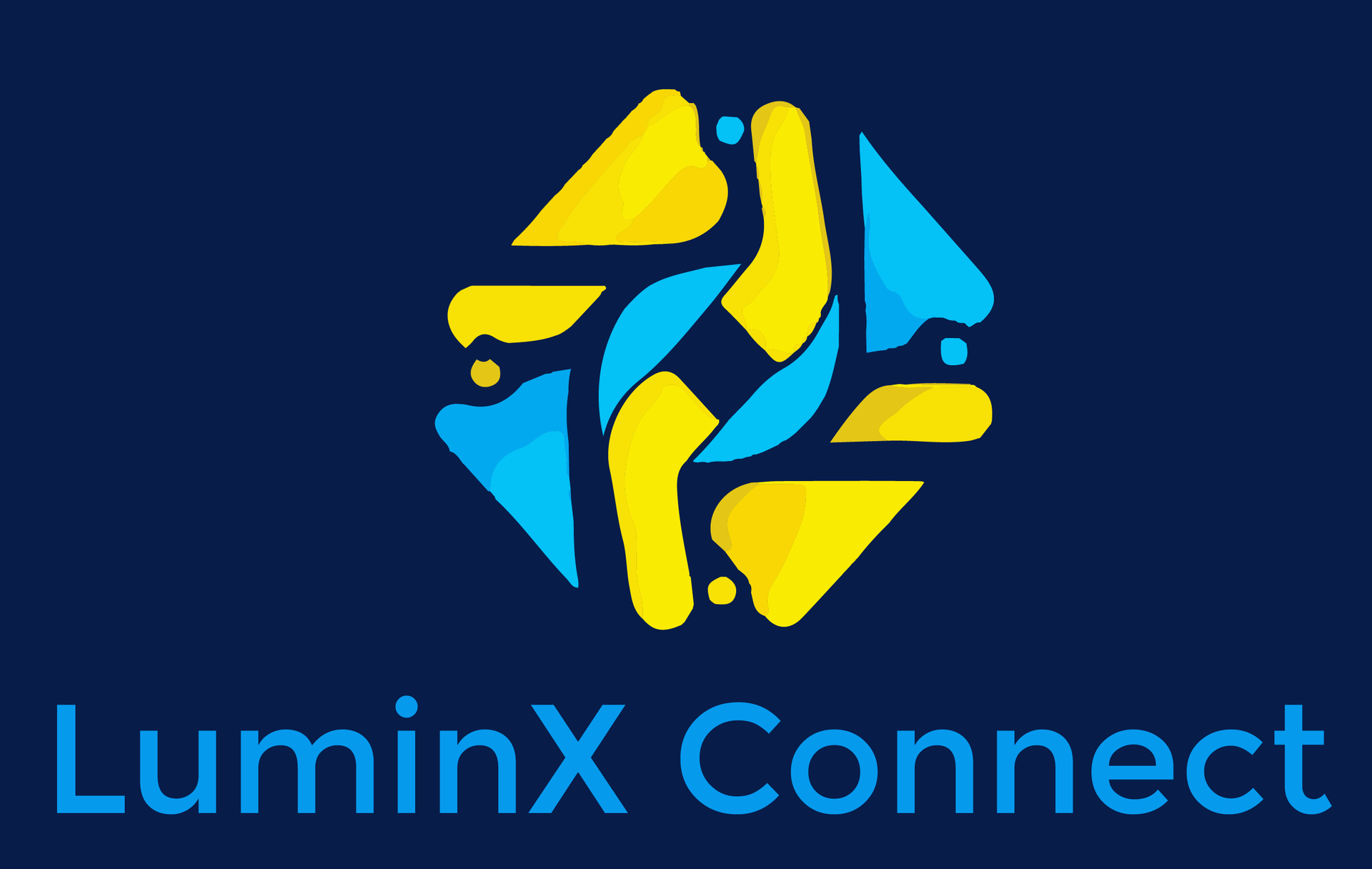 LuminX Connect